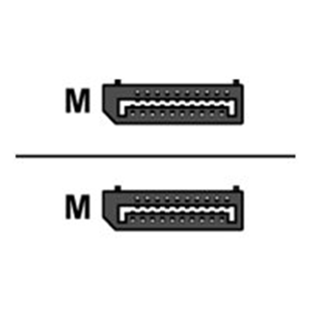 ACT - DisplayPort kabel - DisplayPort naar DisplayPort - 1 m