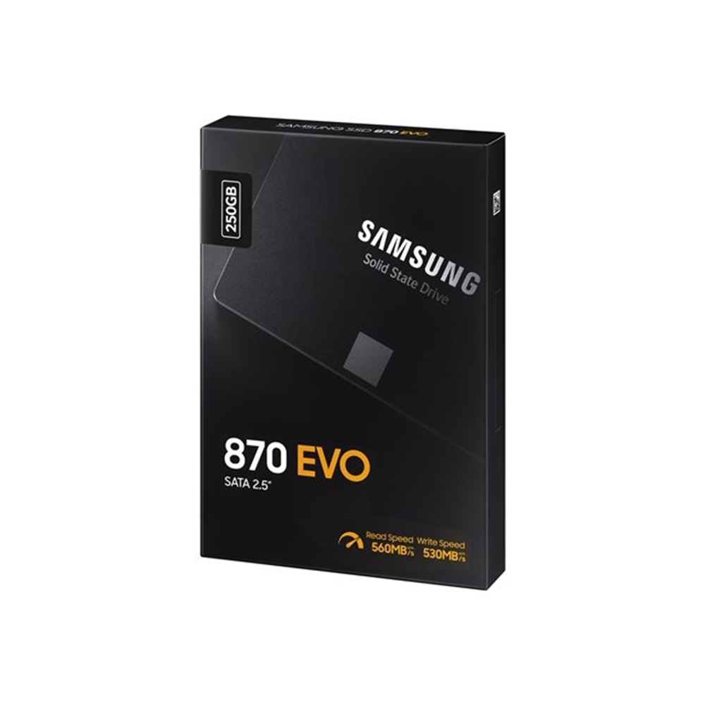 Samsung 870 EVO MZ-77E250B